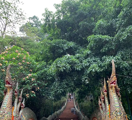 双龙寺游玩3.jpg