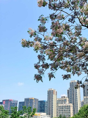 武汉光谷软件园2.jpg