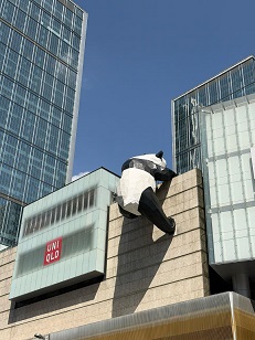成都成都2.jpg